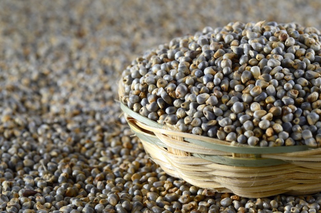 Mustard Seed